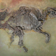 Fossil paleothere Propaeleotherium at Frankfurt’s natural history museum.